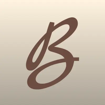 Brauer, компания по продаже датчиков давления, лого-визитка