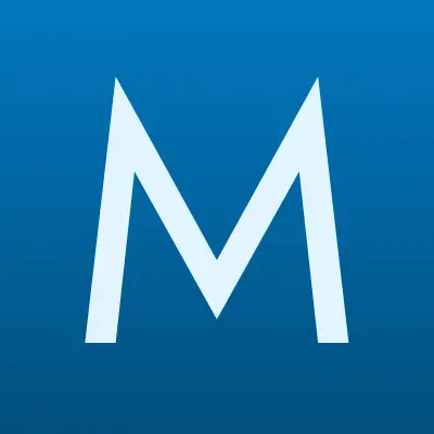 МонтажЭлектроСервис, многопрофильная компания, лого-визитка