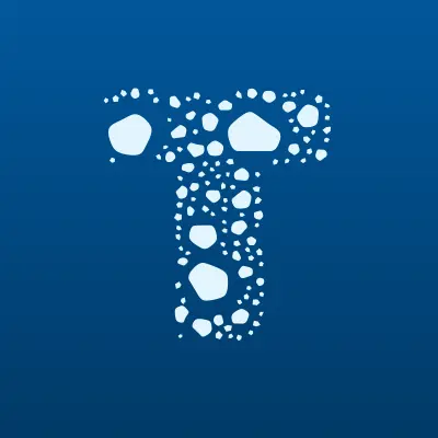TDNT Engineering, лого-визитка
