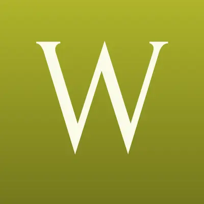 WORLD CLASS STYLING, студия автостайлинга, лого-визитка